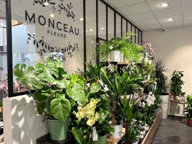 Aménagement d’un magasin de fleurs à Caen : faux plafond, verrière et claustra bois