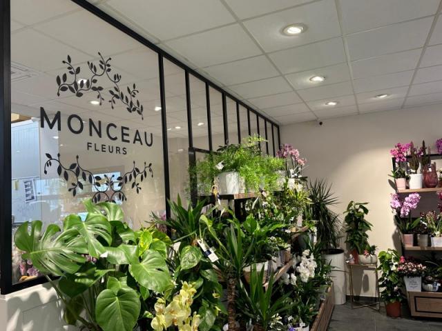 Aménagement d’un magasin de fleurs à Caen : faux plafond, verrière et claustra bois